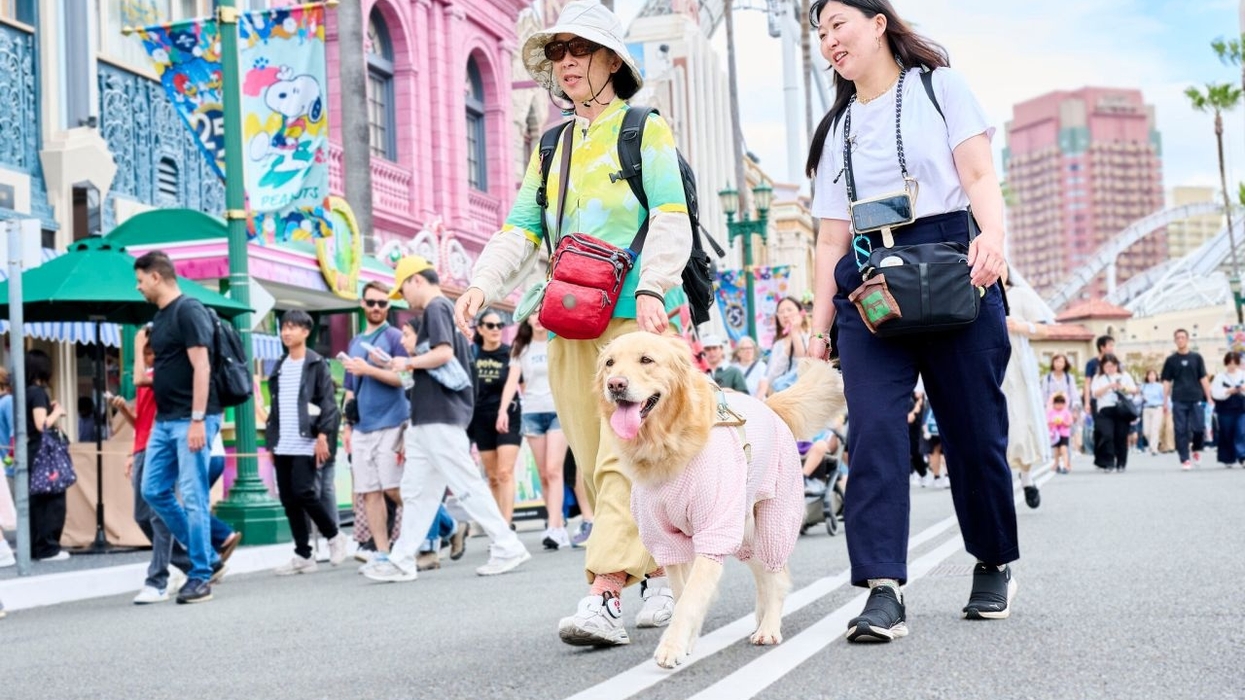 People walking a dog in a pink sweater, surrounded by colorful buildings and crowds at Universal Studios Japan