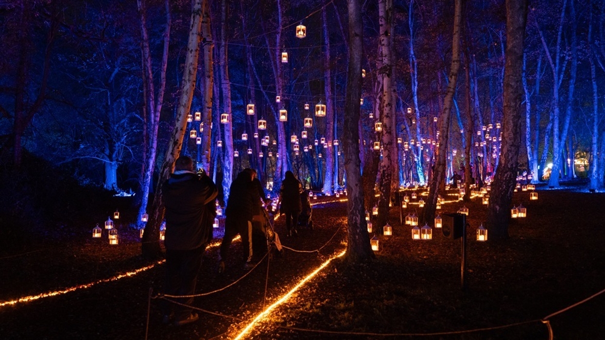 People walking in a forest illuminated by hanging lanterns and blue lights.