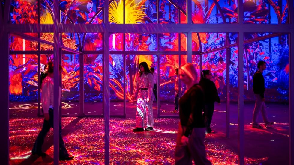 People walking in a vibrant, colorful light installation with tropical visuals.