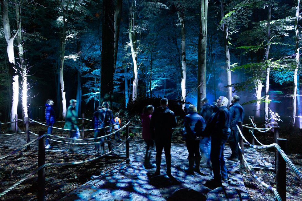 People walking through an illuminated forest at night at Harry Potter: A Forbidden Forest Experience