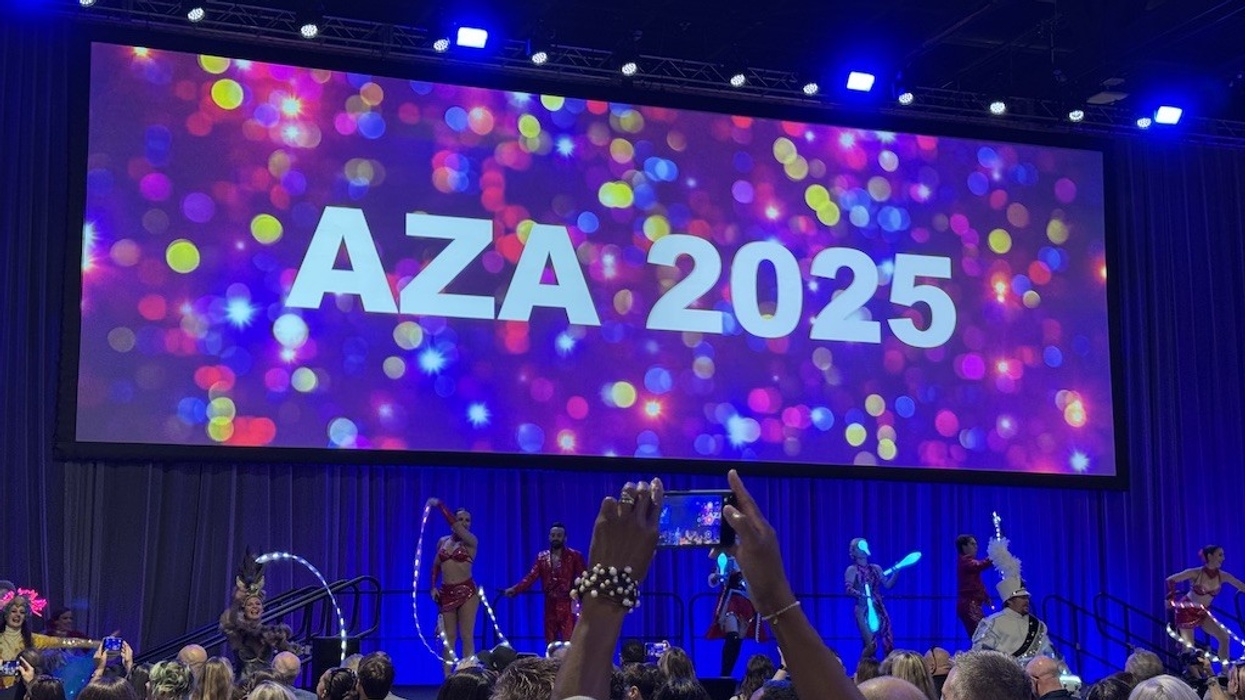 People watch a colorful stage performance under an "AZA 2025" screen display.