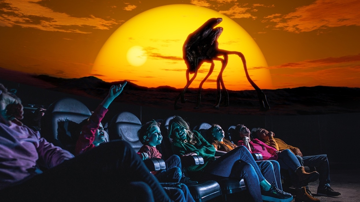 People watch a sunset with a surreal creature on a screen, sitting in theatre seats in the planetarium at Life.