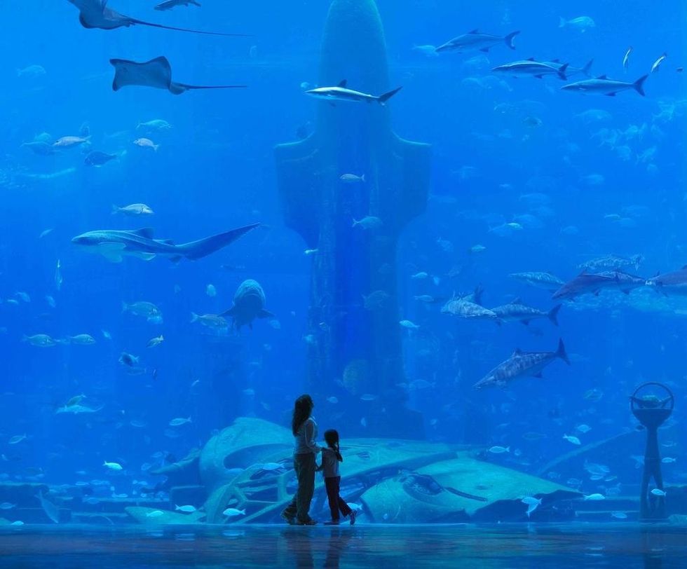 People watching fish and sharks in a large aquarium with an underwater theme.