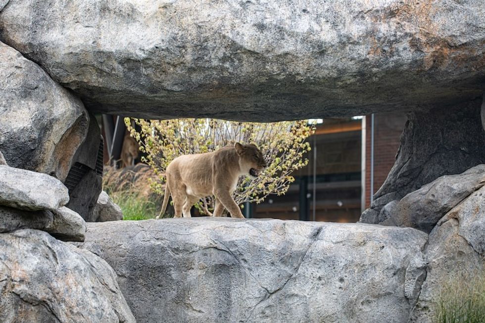 Pepper Family Wildlife Center