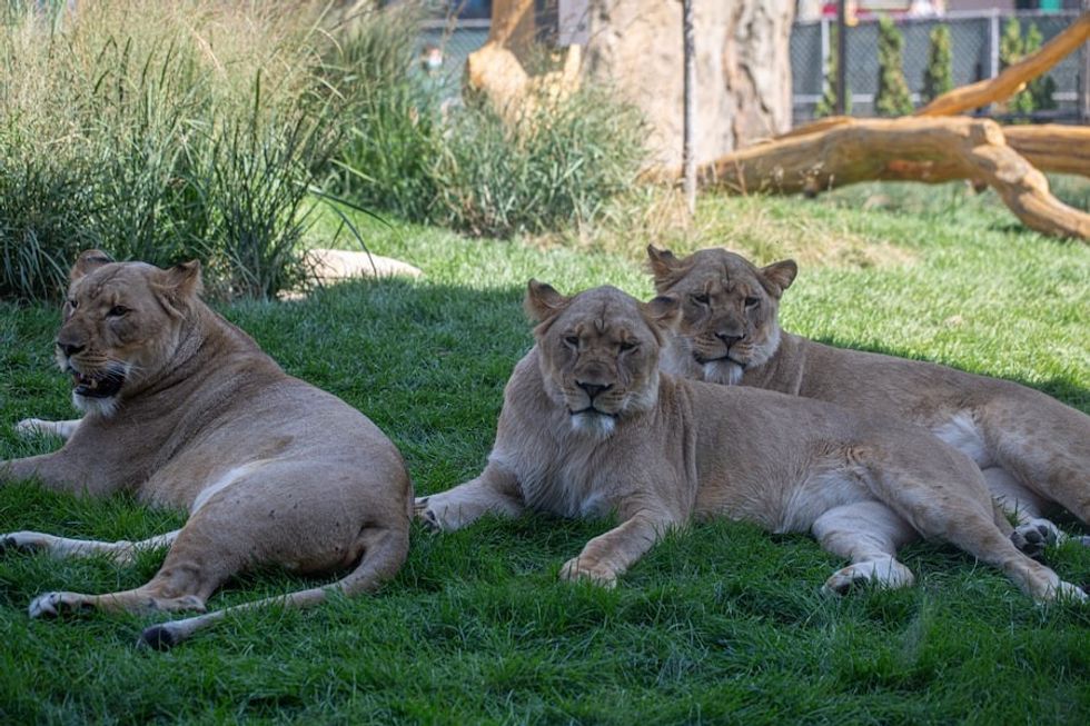 Pepper Family Wildlife_Center