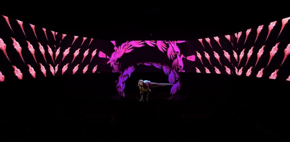 Person in theatrical pose with vibrant shell-pattern projections in the background.
