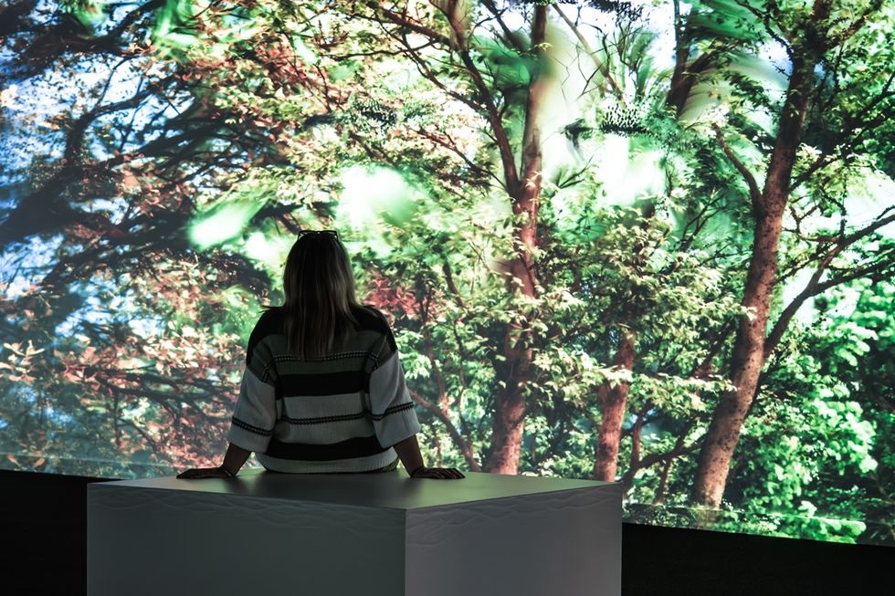 Person looking at a large, vibrant nature projection of trees on a screen at Culture House in Sunderland