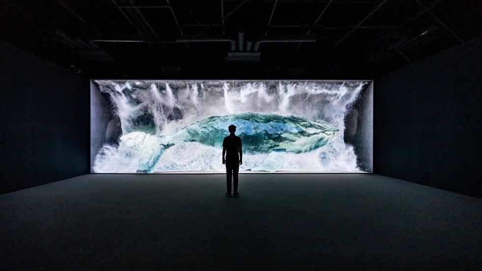 Person silhouetted against a large screen displaying a whale underwater at Arte Museum