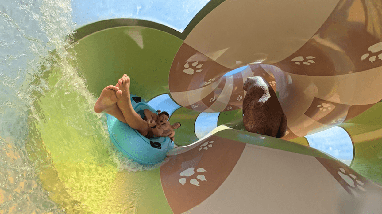 Person sliding down a ProSlide HIVE water slide with paw print design and clear sections.