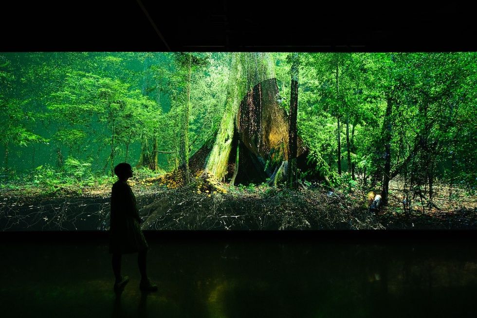 Person standing in front of screen showing a forest at Journey of the Pioneers exhibition Innovation Awards 2023