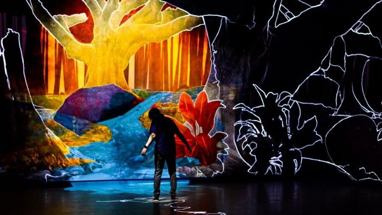 Person standing in Meow Wolf projected room