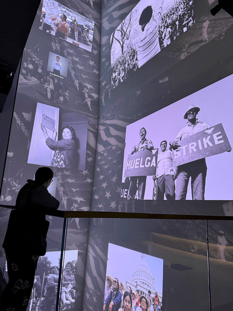 Person viewing diverse protest photos on a museum wall.