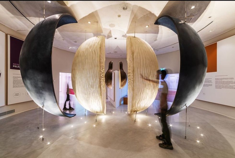 Person walking through a large, suspended art installation with curved panels.