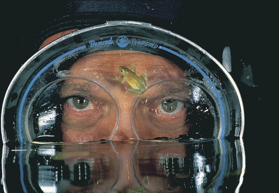 Person wearing a diving mask with a small frog sitting on the lens.