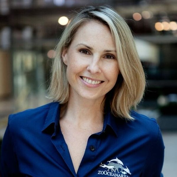 peta wittig St. Louis aquarium at Union station