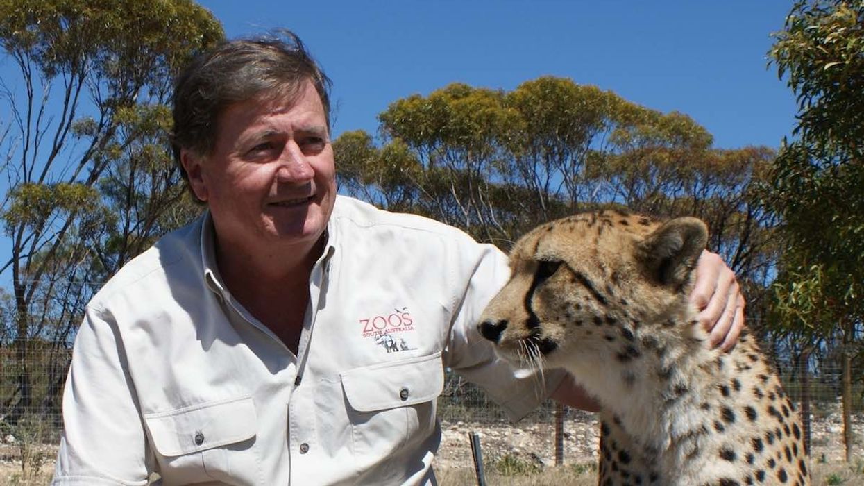 Peter Clark of Zoos South Australia Zoos SA
