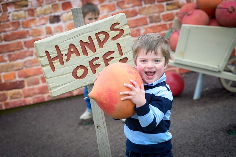 peter rabbit willows activity farm