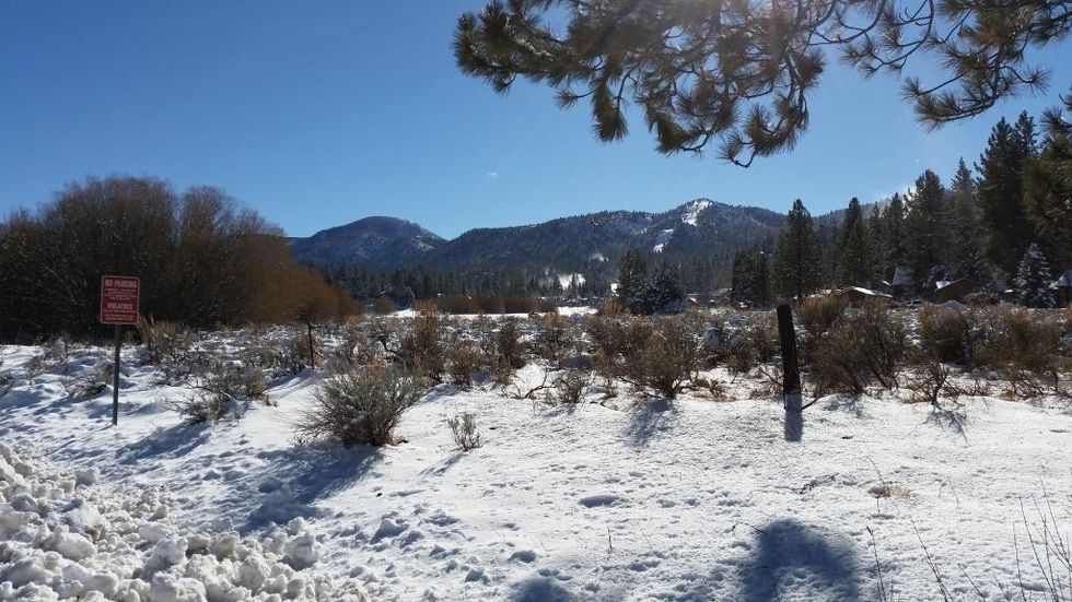 PGAV Destinations Big Bear Alpine Zoo