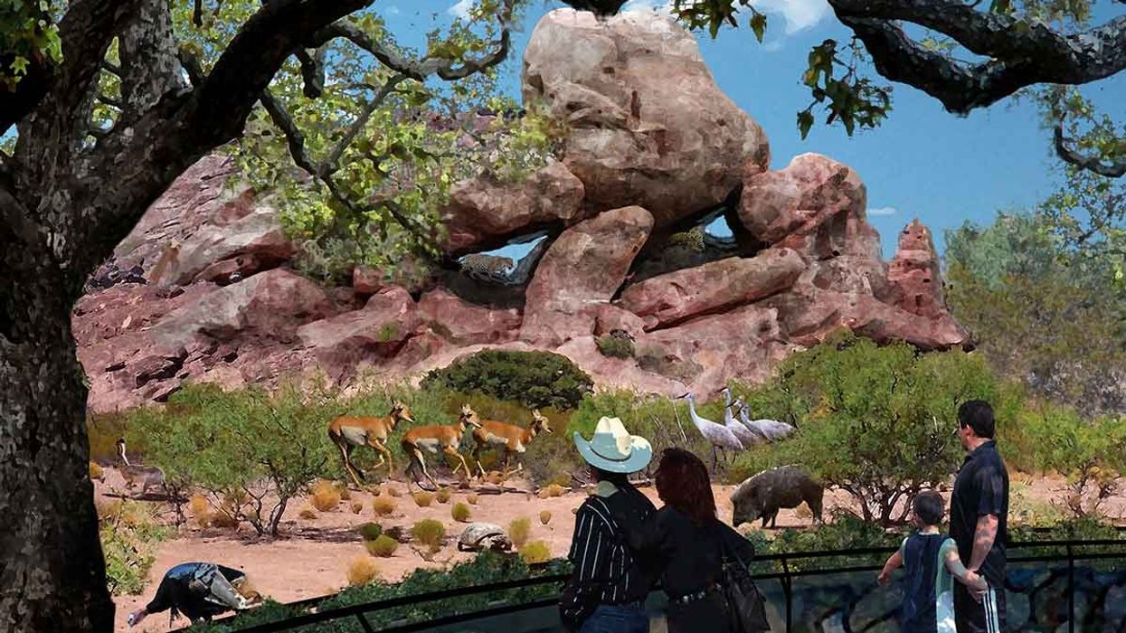PGAV Destinations design Chihuahuan Desert Exhibit at El Paso Zoo
