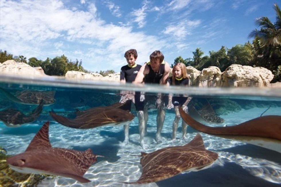PGAV Destinations Discovery Cove