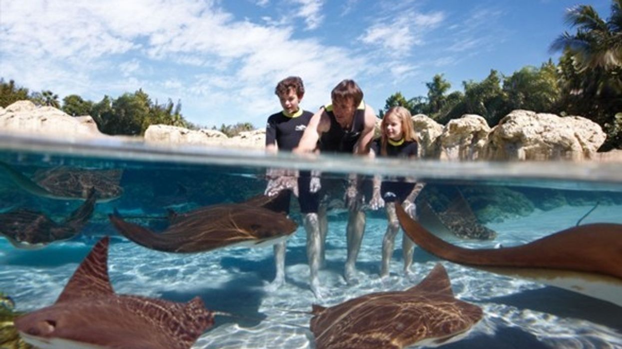 PGAV Destinations Discovery Cove