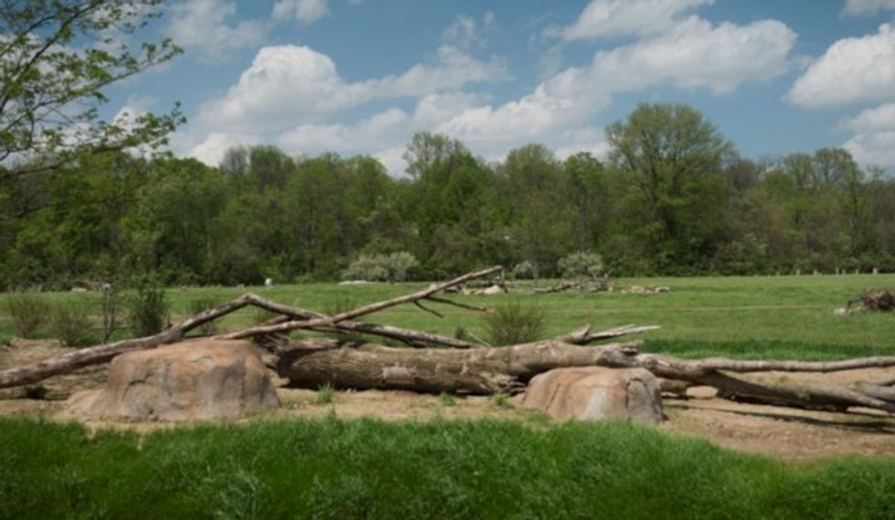 PGAV heart of africa columbus zoo