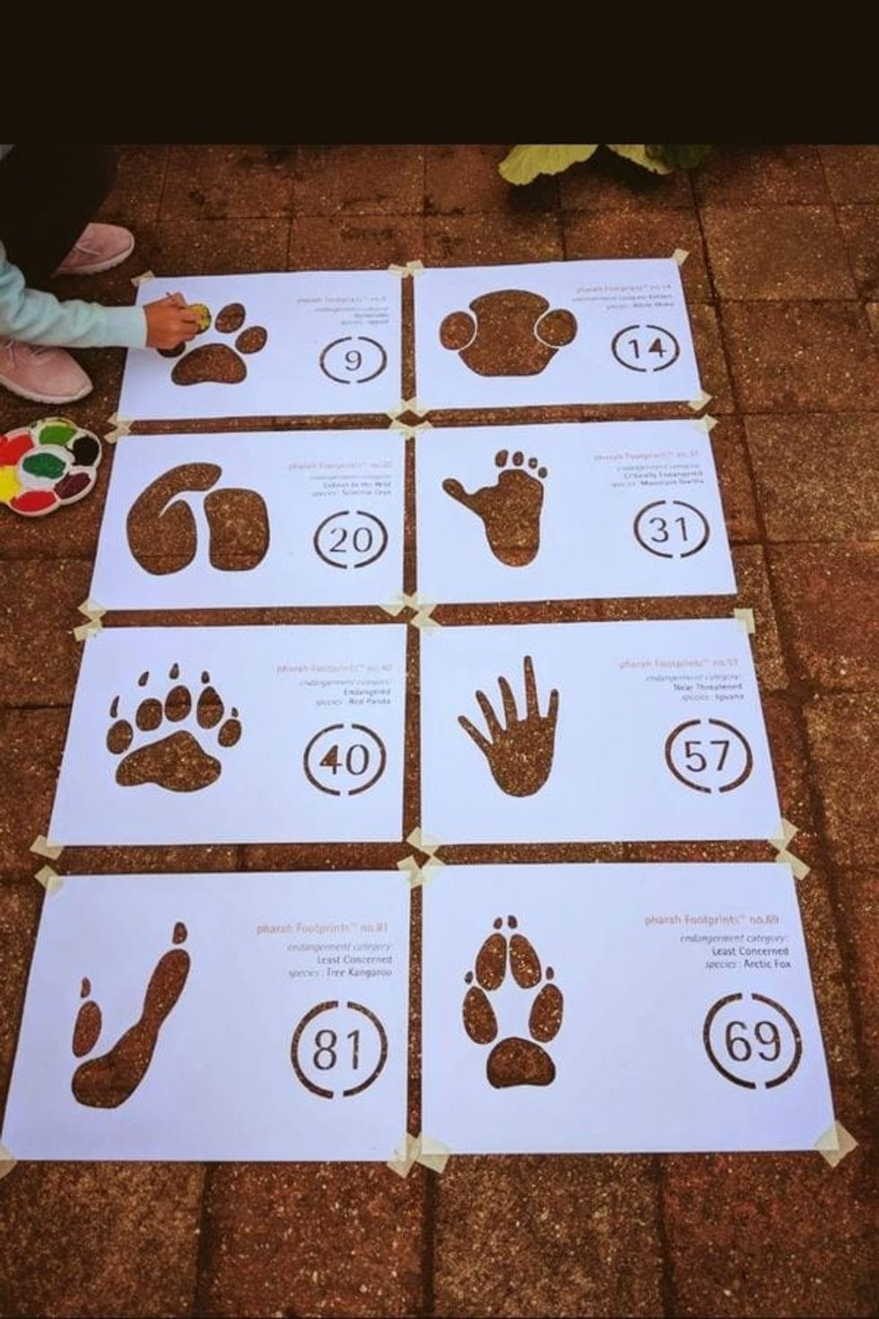 Pharah Foundation Footprints