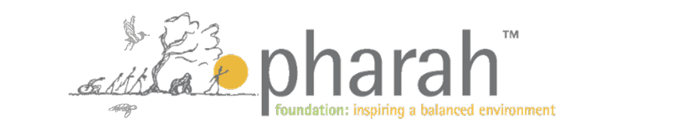 Pharah Foundation Inspiration