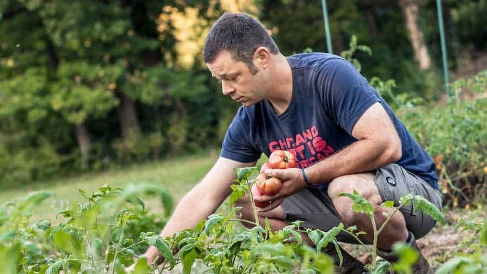 Phibrook Victory Garden
