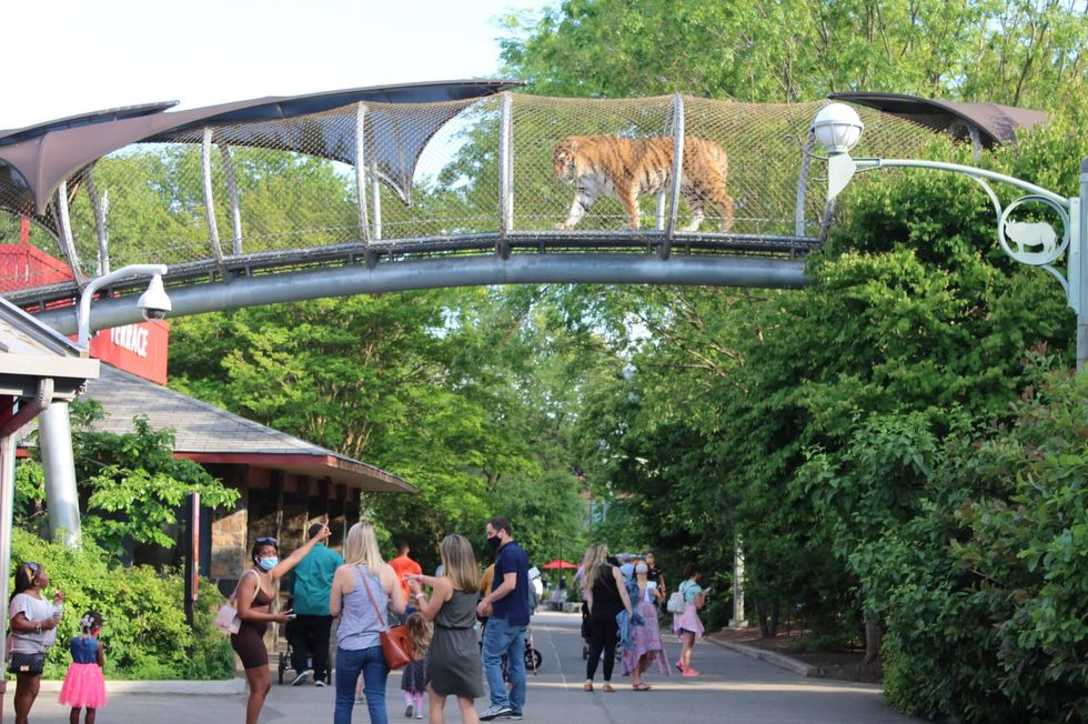 philadelphia zoo