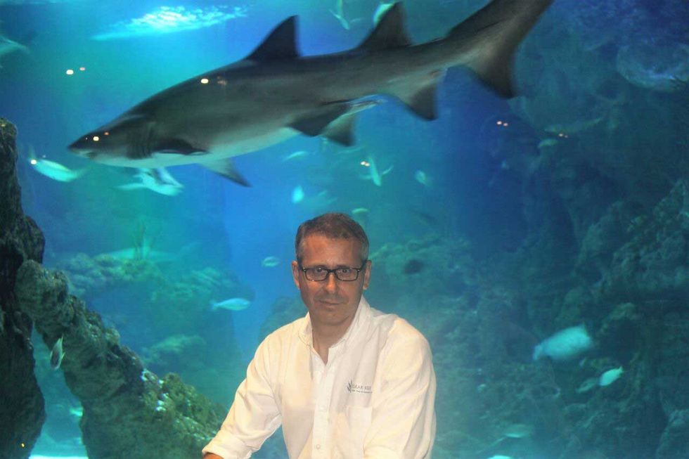 Philippe de lacaze clear reef