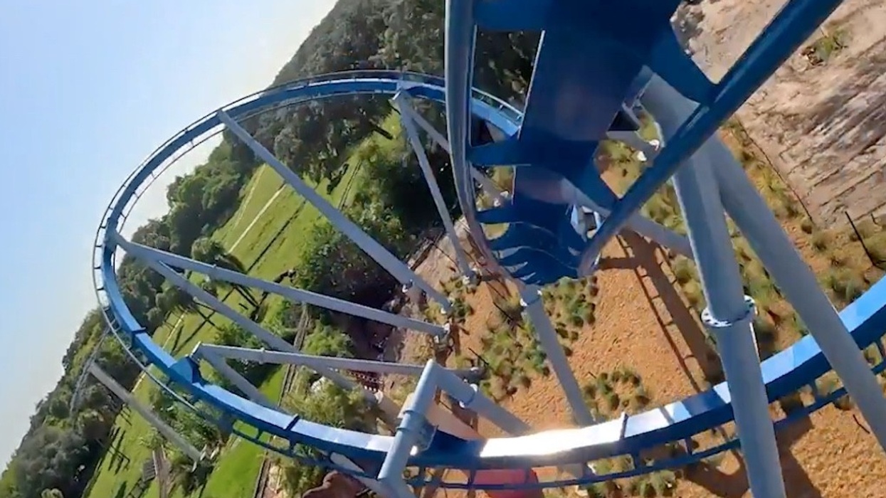 phoenix rising busch gardens tampa bay