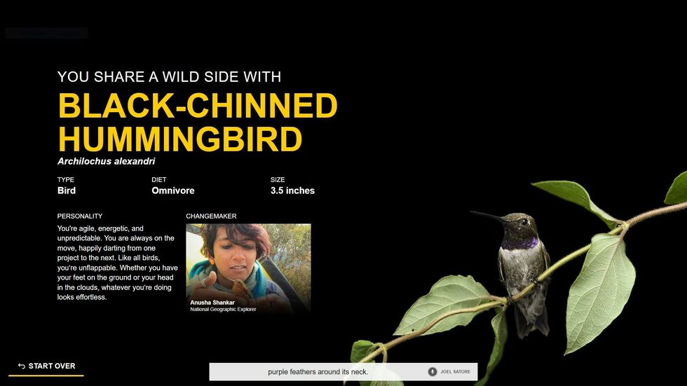 Photo Ark: Animals of Earth interactive meet the heroes kiosk