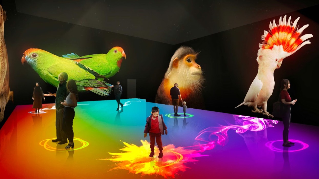 Photo Ark: Animals of Earth. People interacting in a vibrant, colorful digital space with large animal projections.