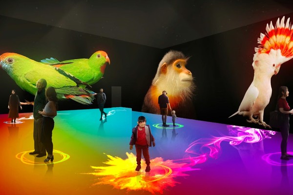 Photo Ark: Animals of Earth. People interacting in a vibrant, colorful digital space with large animal projections.