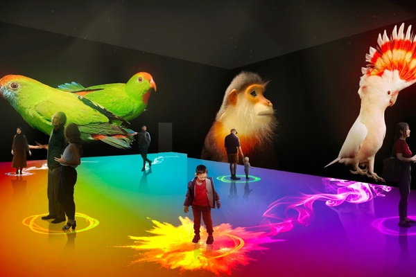 Photo Ark: Animals of Earth. People interacting in a vibrant, colorful digital space with large animal projections.