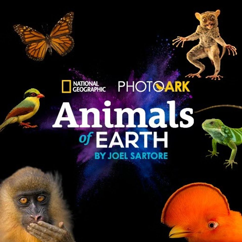 Photo Ark: Animals of Earth promotional image with animals