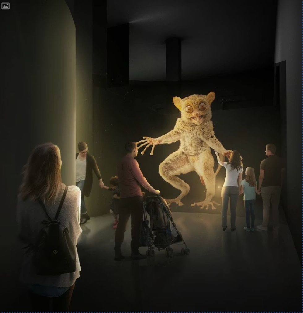 Photo Ark: Animals of Earth