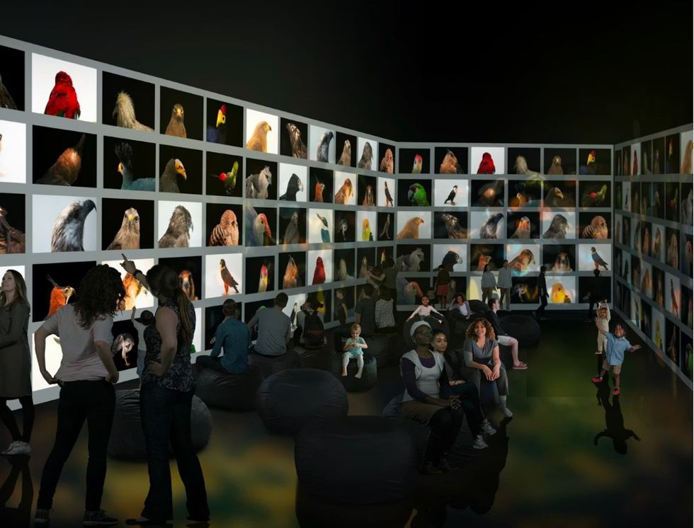 Photo Ark: Animals of Earth