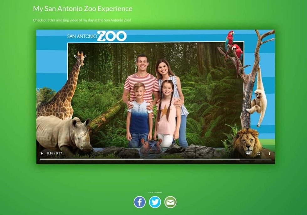 Photogenic San Antonio Zoo Postcard Screen Capture