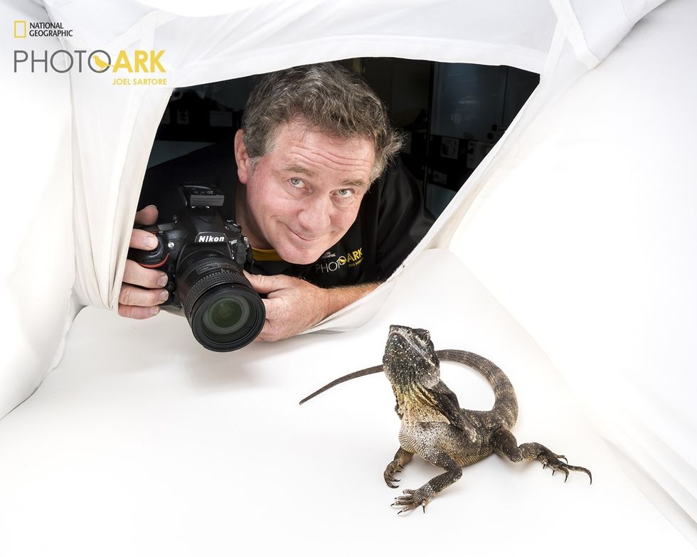 Photographer Joel Sartore aiming camera at lizard in a white tent studio setup as part of the Photo Ark project.