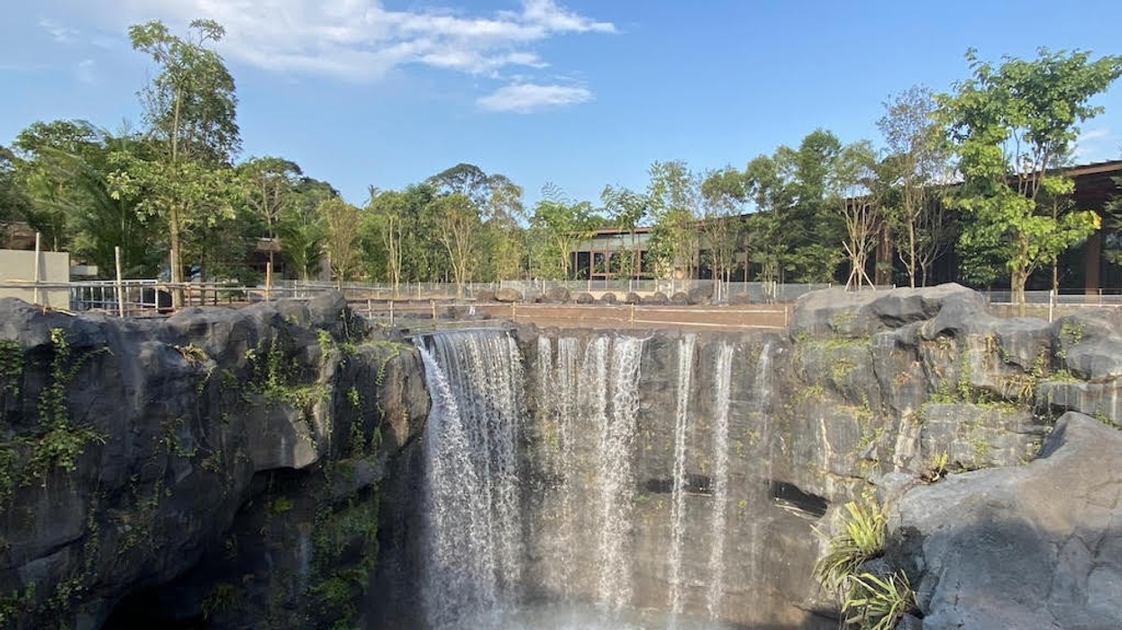 pico creates rockwork waterfall Mandai bird paradise