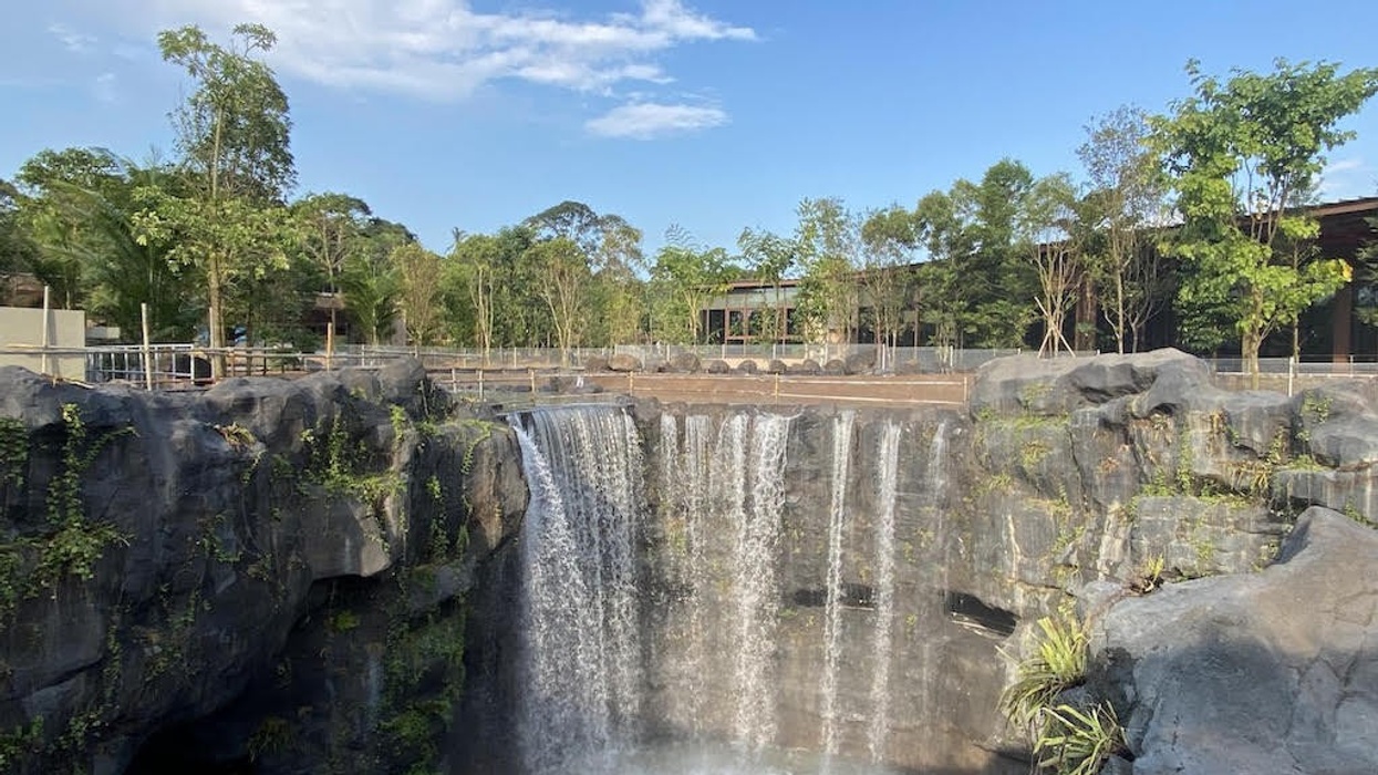 pico creates rockwork waterfall Mandai bird paradise