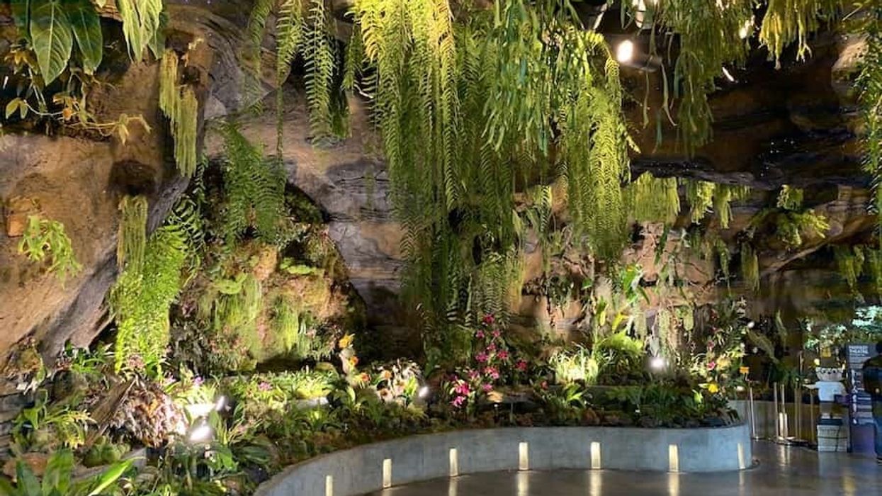 Pico Play artificial rocks