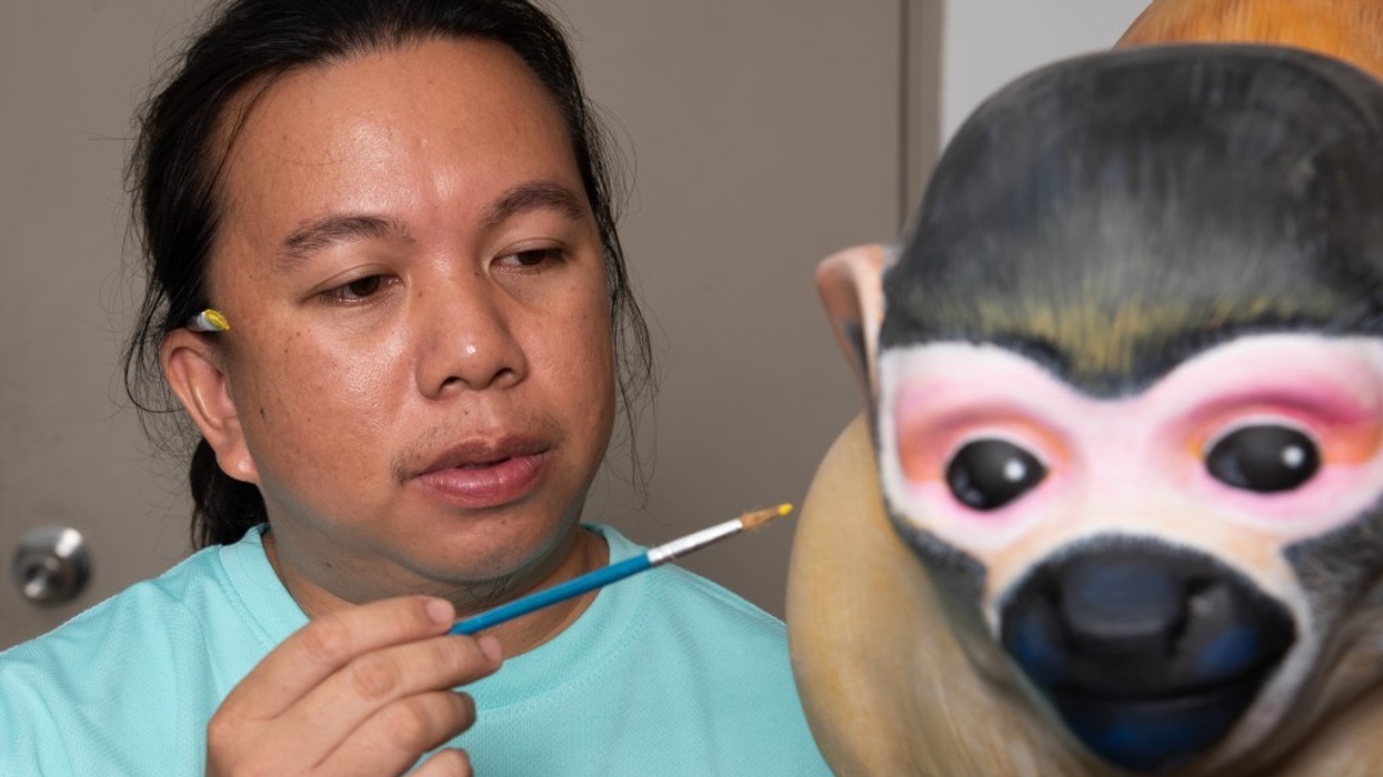 Pico Play creates over 50 new jobs