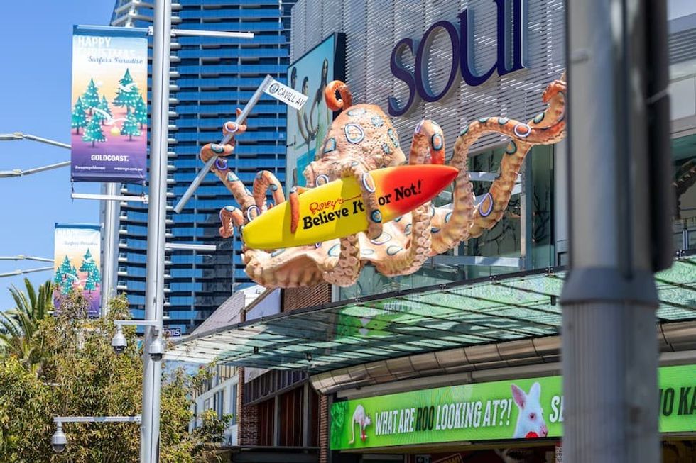 Pico Play_Ripleys Surfers Paradise_Big Octopus