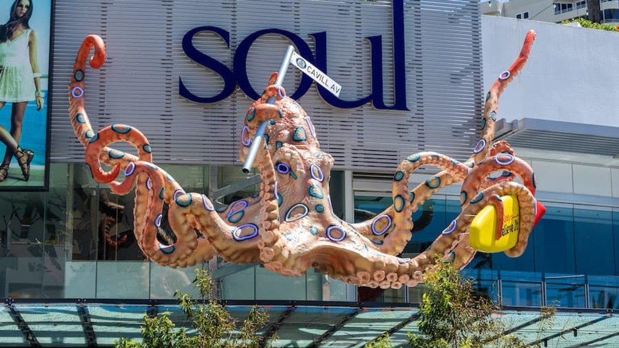 Pico Play Ripleys Surfers Paradise