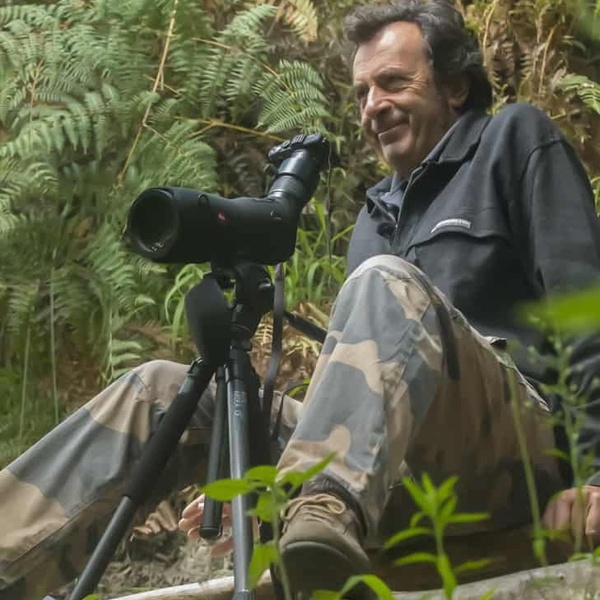 Pierre Gay blooloop 50