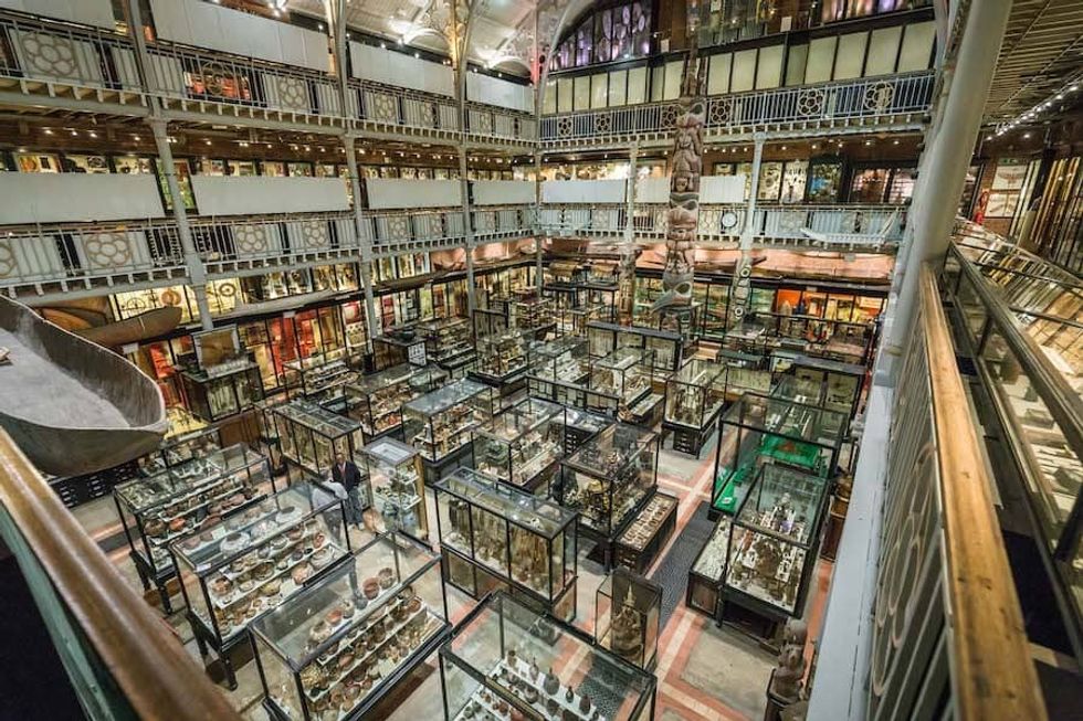 Pitt Rivers by Ian Wallman Dan Hicks