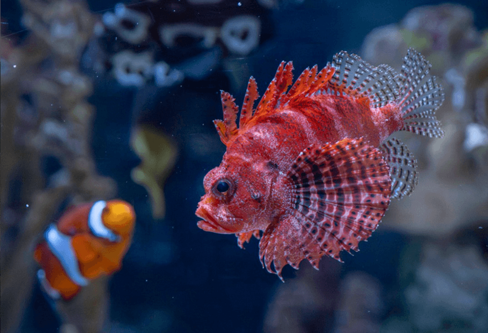 pittsburgh zoo aquarium